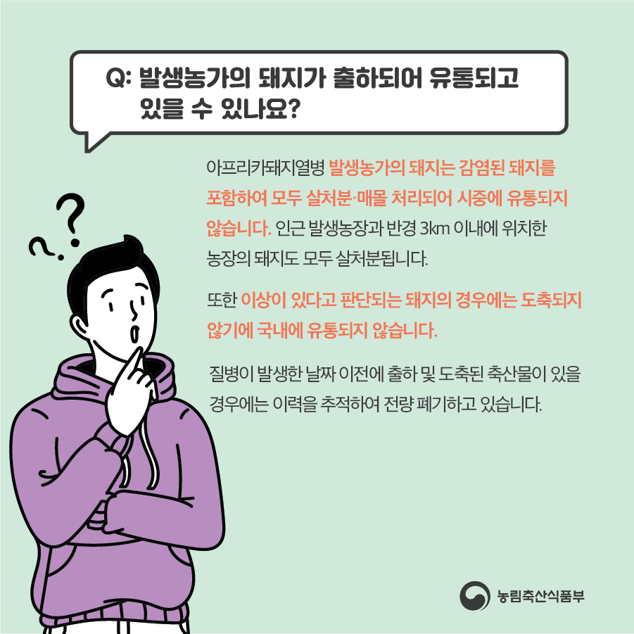 아프리카돼지열병 정보 Q&A 이미지 (상세 내용 하단 참조)